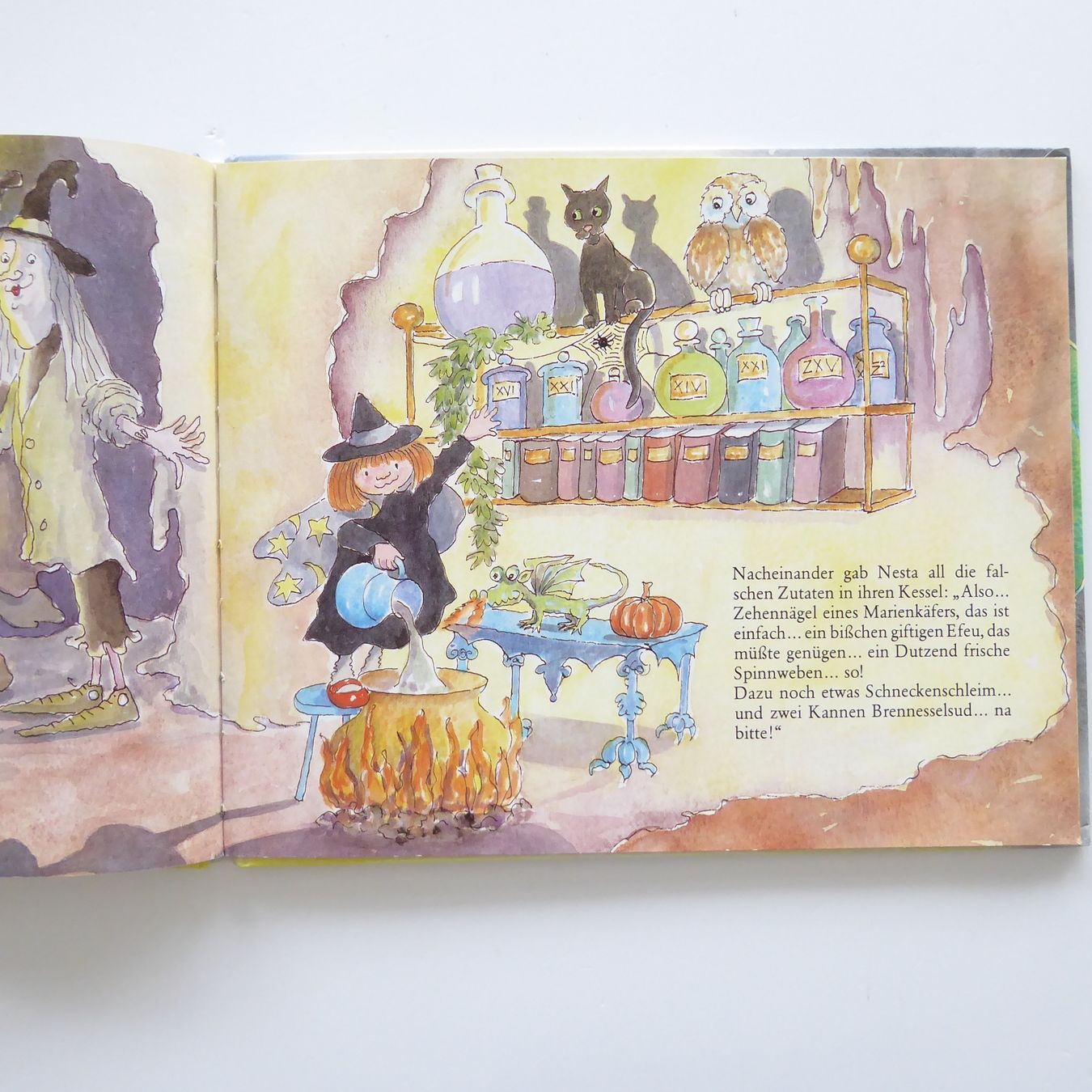 Libri: Nesta die kleine Hexe – Usato da Basel venduto da Kunterbunt12 5