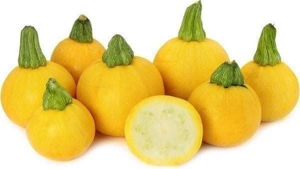 Piante & sementi: Courgette ONE BALL RARE 10g – Nuovo (secondo la descrizione) da Bremblens venduto da FIBONACCI369