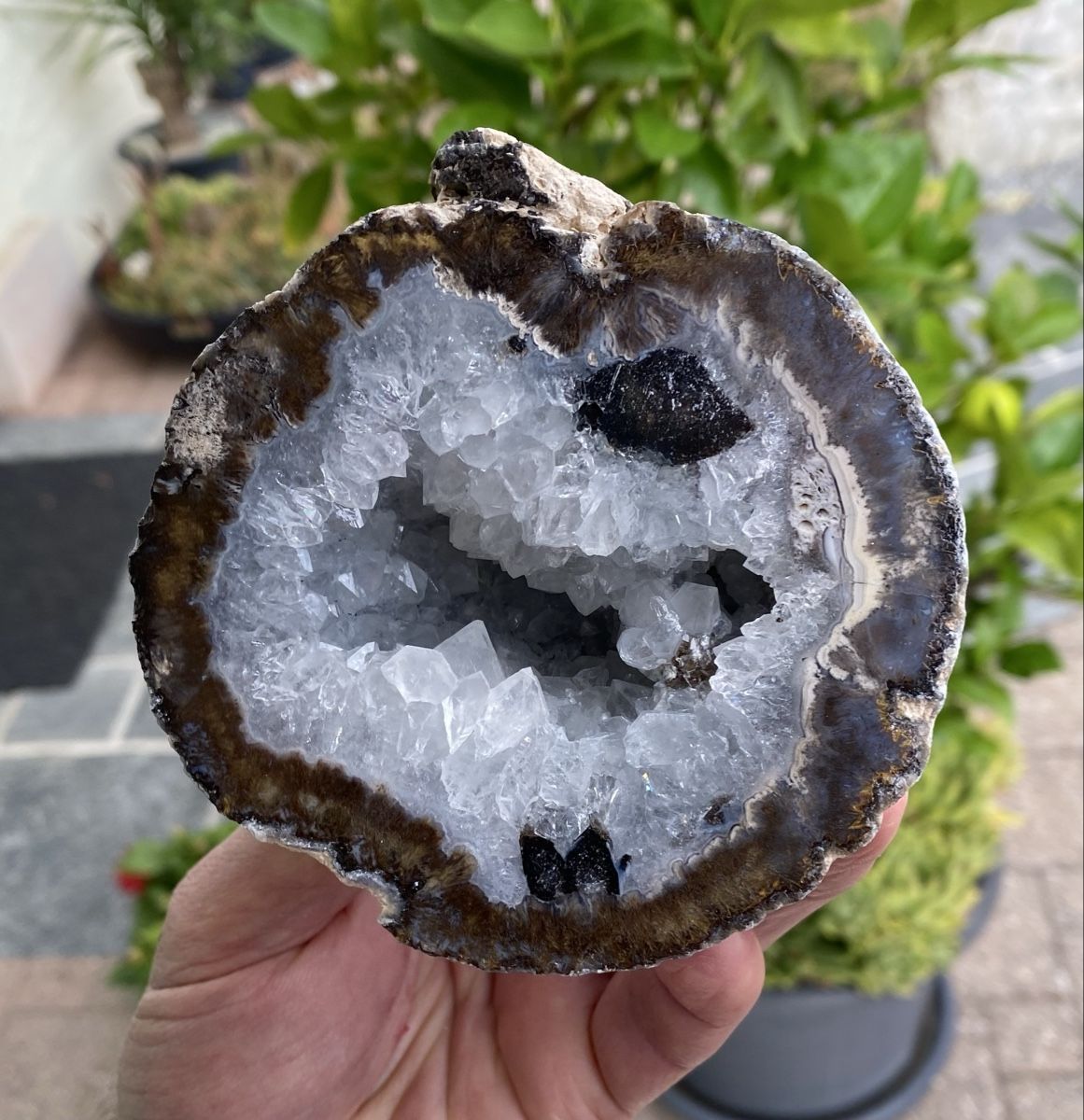 Minerali & Pietre curative: Schöne Achat Geode  – Usato da Selzach venduto da 321compac 8