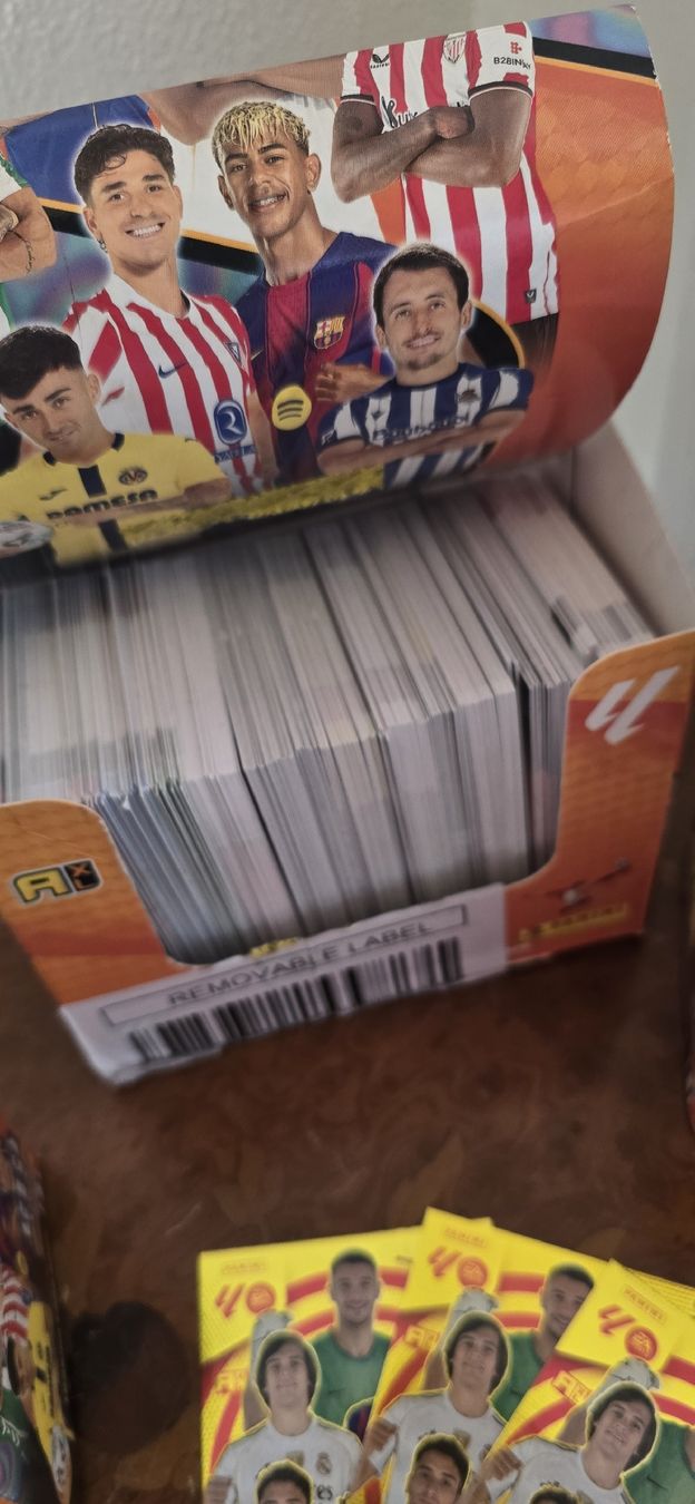 Panini Carte collezionabili: laliga panini – Usato da Safnern venduto da Brionne 2