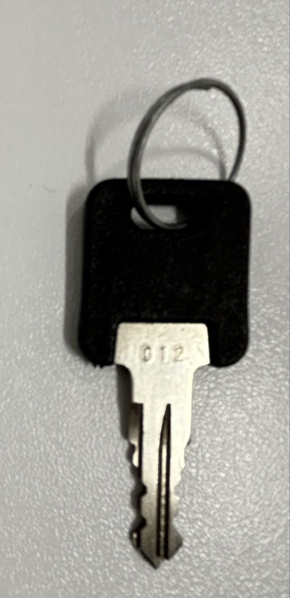Chiavi: Thule Schlüssel N 012 – Usato da Bülach venduto da Nani003