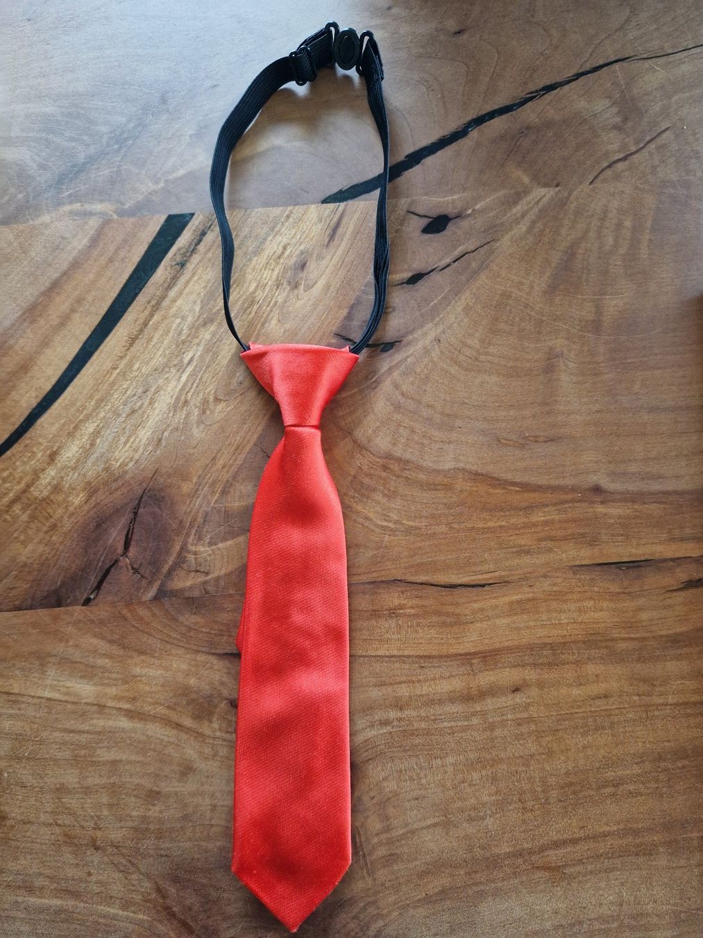 Altro abbigliamento per bambino: Kinderkrawatte / Krawatte rot 23 cm – Nuovo (secondo la descrizione) da Giswil venduto da monimaus08