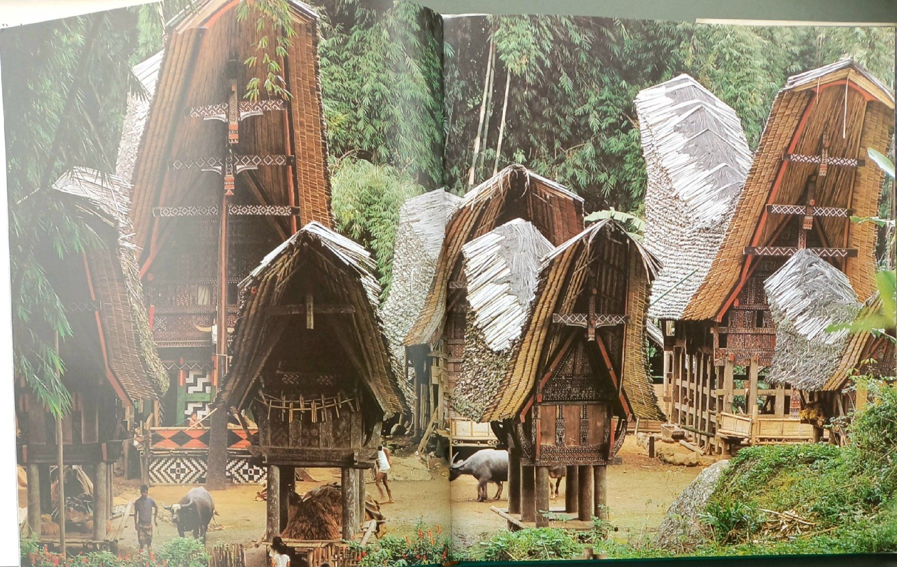 Libri: Buch - Indonesien - Mondo-Verlag – Usato da Niederuzwil venduto da lubimaja 4