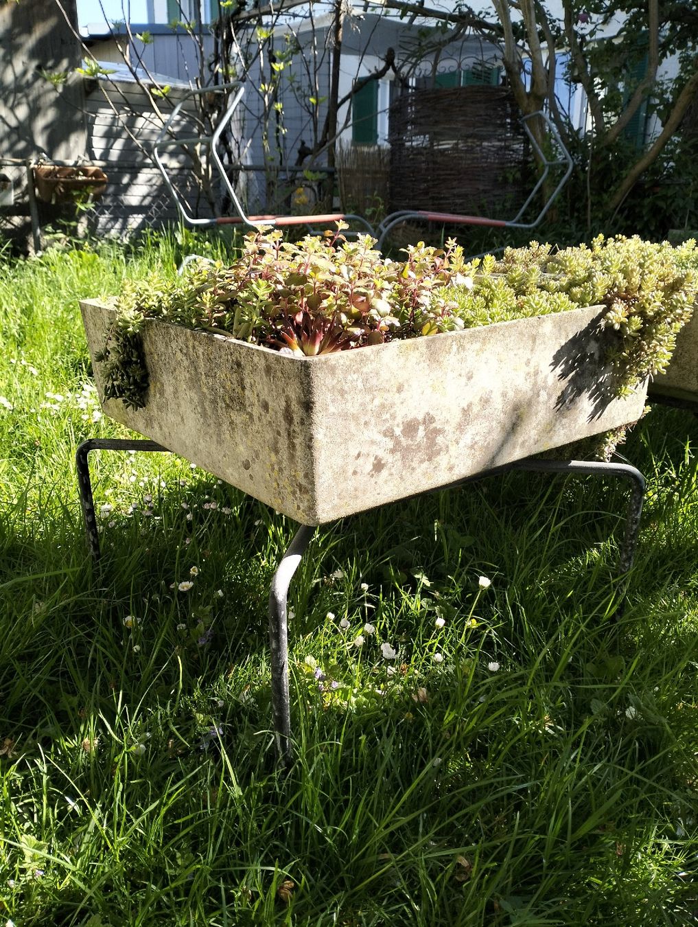 Vasi per fiori: Bruno Rey Blumentopf mit Metalgestell – Usato da Wil SG venduto da die-wohnung
