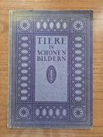 Tiere in schönen Bildern – Erstausgabe 1922 – Blauen Bücher