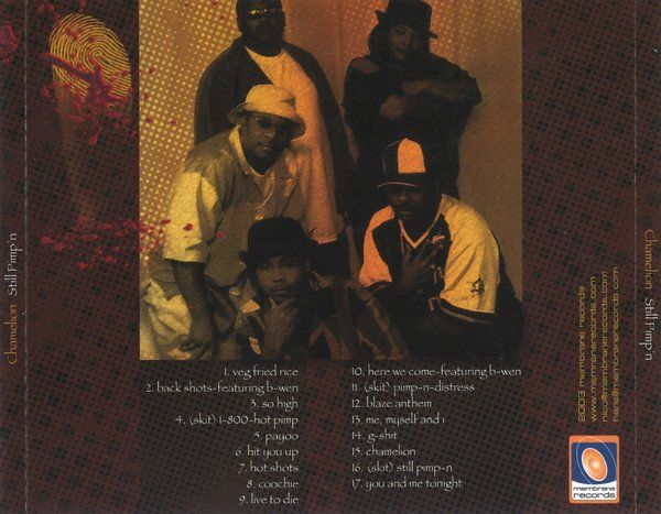 CD: CD Chamelion 2002 – Usato da Emmenbrücke venduto da inf_9dkq 1