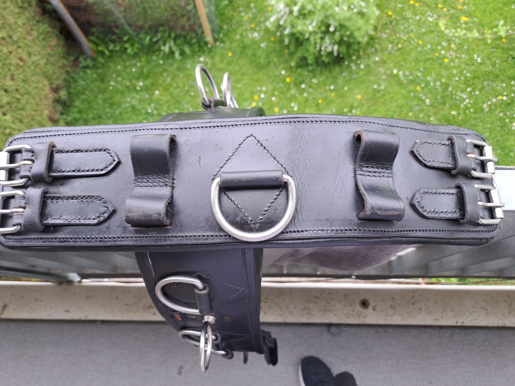 Selle & Accessori: Longiergurt Marke Solibel, Leder, schwarz – Nuovo (secondo la descrizione) da Winikon venduto da nic_2kjk 1