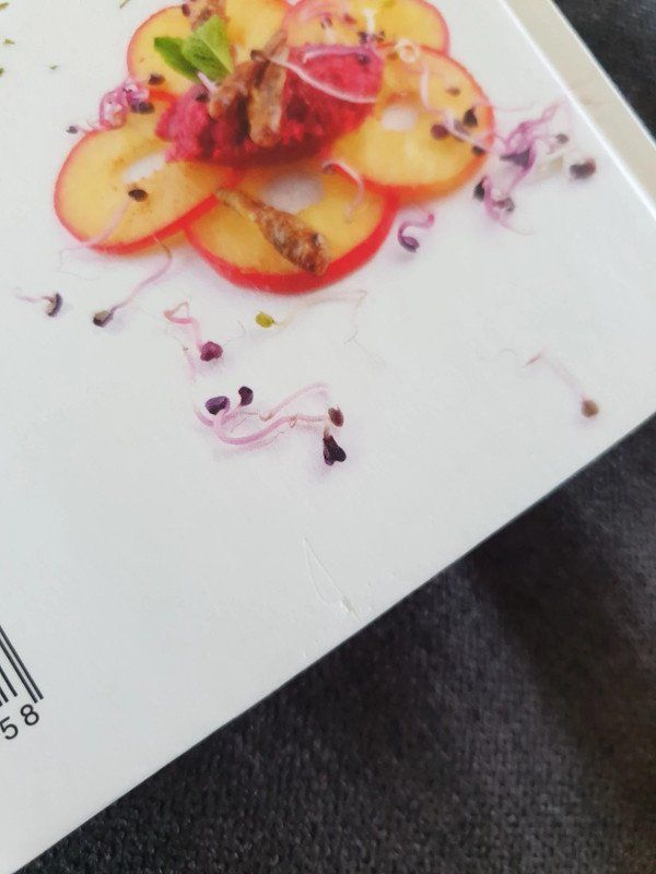 Libri: Délicieux insectes – Nuovo (secondo la descrizione) da Chatelaine venduto da Madame-lol 2