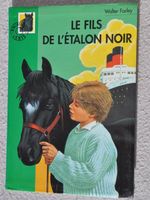 Le fils de l'étalon noir - Walter Farley