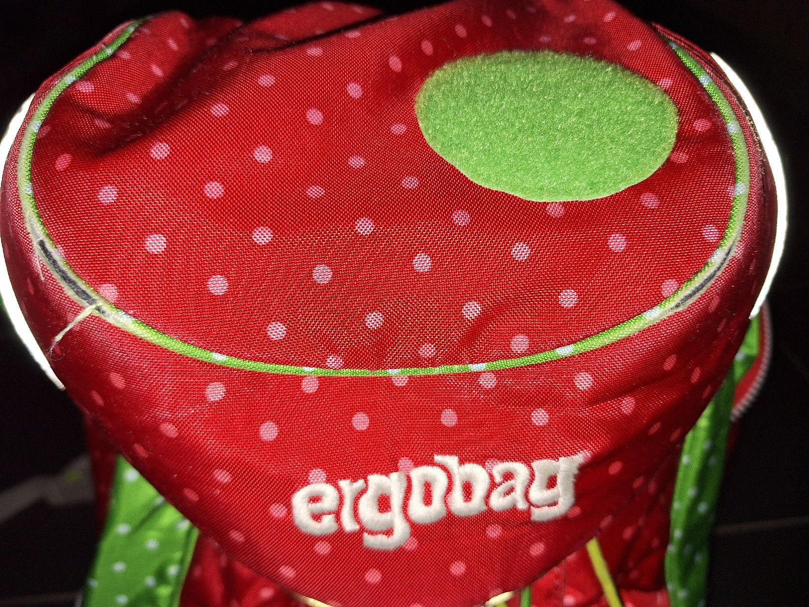 Ergobag Kindertaschen: Ergobag Set Schulranzen, Schulthek – Gebraucht aus Flums Hochwiese von pfadan 4