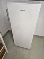 bauknecht fridge
