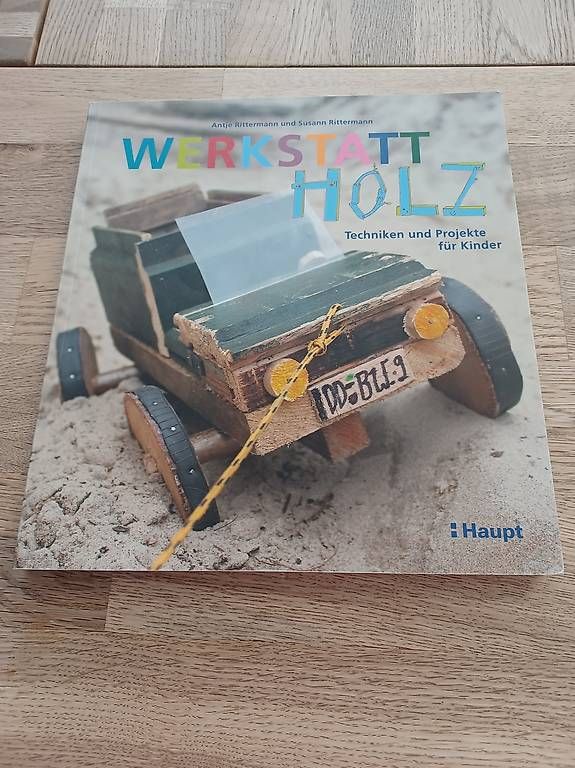 Libri: Werkstatt Holz schnitzen, sägen usw. – Usato da Brunnen venduto da 77miul77
