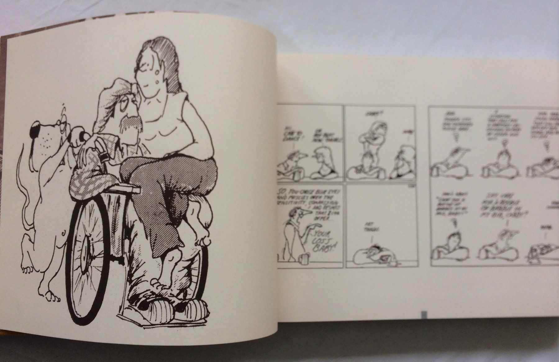 Fumetti: Berkeley Breathed's ACADEMIA WALTZ – Usato da Schaffhausen venduto da durruti 3