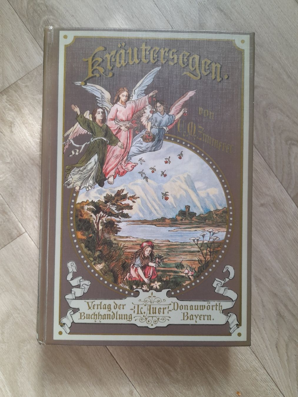 Bücher: Kräutersegen 1896 – Gebraucht aus Basel von Basel_20
