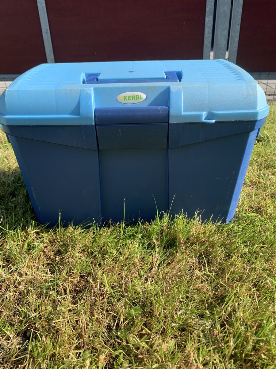Altro per la casa: Putzbox mit Striegel – Usato da Widnau venduto da S31 6