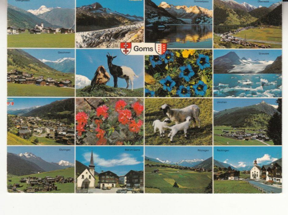 Cartoline postali: Goms 1979 – Usato da Bürglen TG venduto da StampGraf