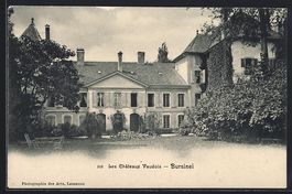 AK Bursinel, Les Chateaux Vaudois
