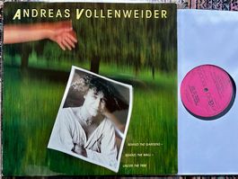Andreas Vollenweider Behind The Gardens Behind The  LP🛀