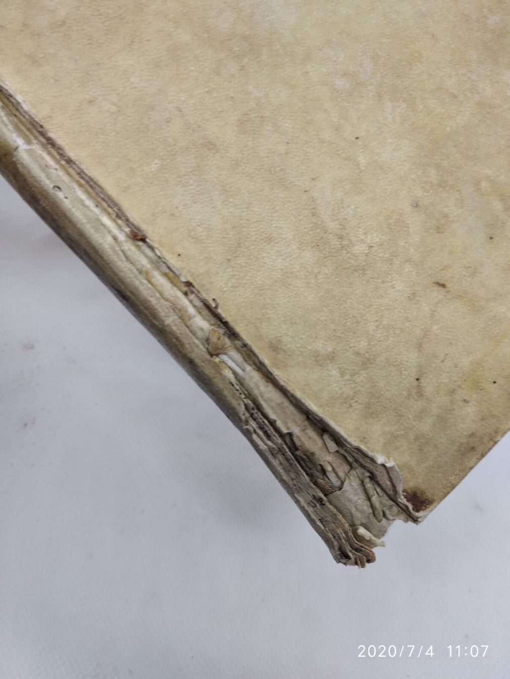 Libri: CRIVELLI PHYSIK 1731-1732 – Usato da Goldach venduto da Gaip 8