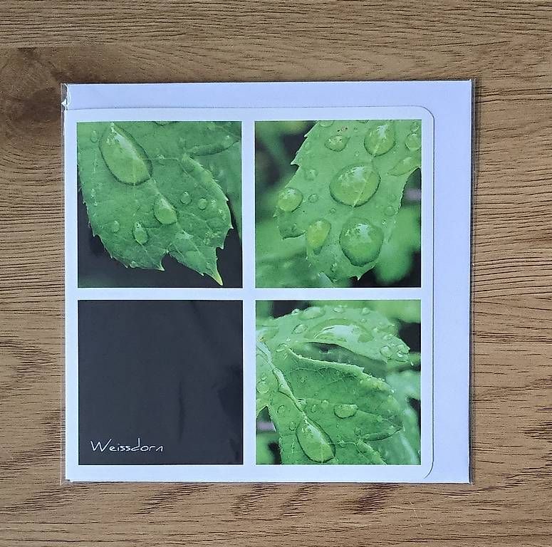 CD: Collagekarte Weissdorn – Nuovo e nell'imballaggio originale da Chur venduto da Frei3912 1