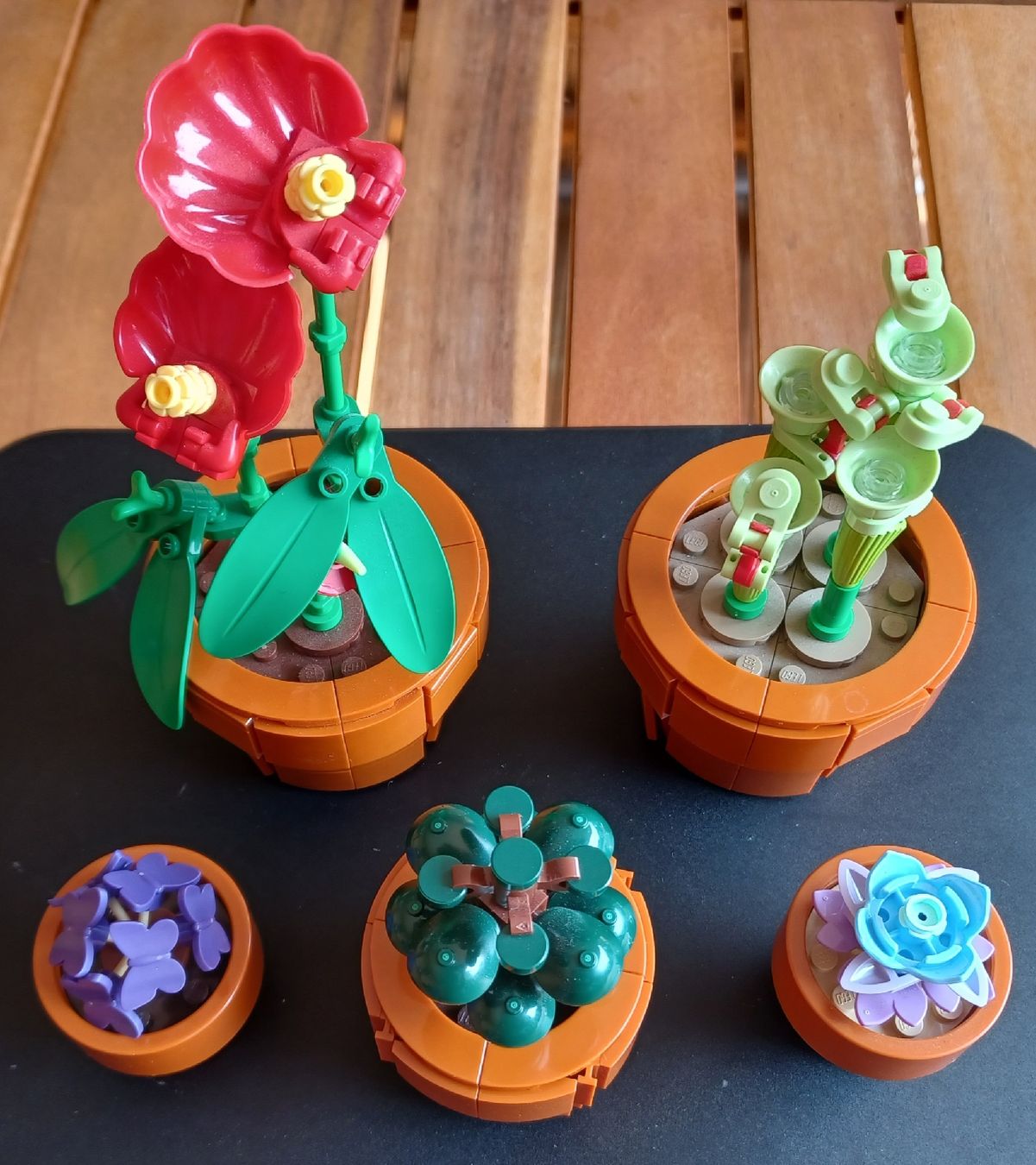 Lego Spielzeuge: Lego Set 10329 Tiny Plants inkl. Verpackung & Brickbling LED – Gebraucht aus Eggenwil von Murmeltier87 5