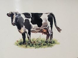 Email Löcherbecken Sieb alt weiss mit Kuh sehr schöner Deko
