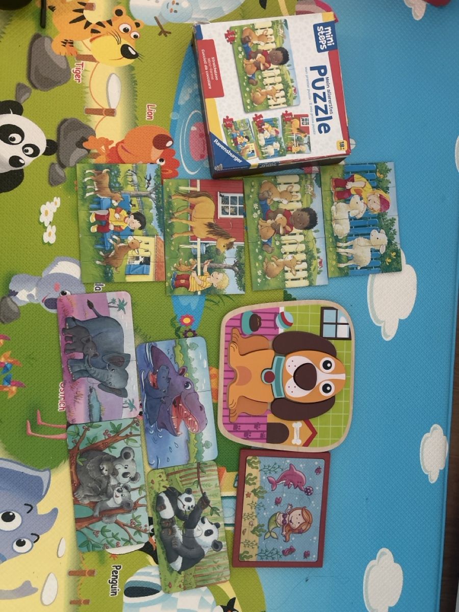 Puzzle: Ravensburger Mini Steps Puzzle Set, 12+ Monate, Top! – Usato da Malters venduto da Valbona_K91