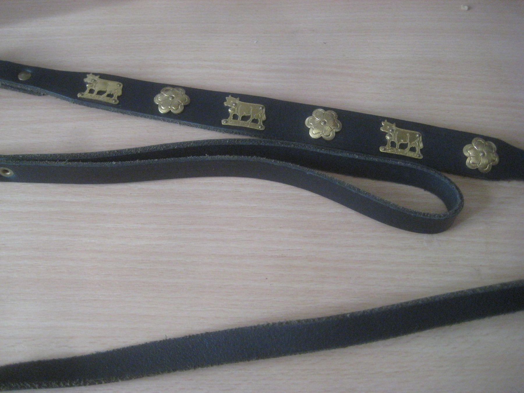 Collier et laisse: HUNDE LEINE – D'occasion à Uster par flocke1