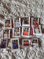 WM 26 cola Panini Bilder