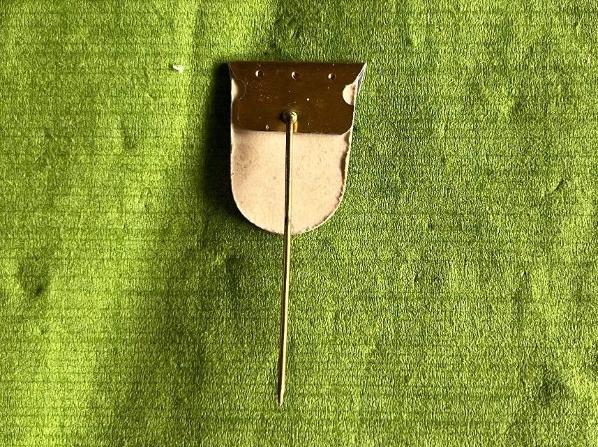 Placchette & Badge: Zürcher Sächsilüüte 1953 !!! – Usato da Itingen venduto da Bebbi6569 1