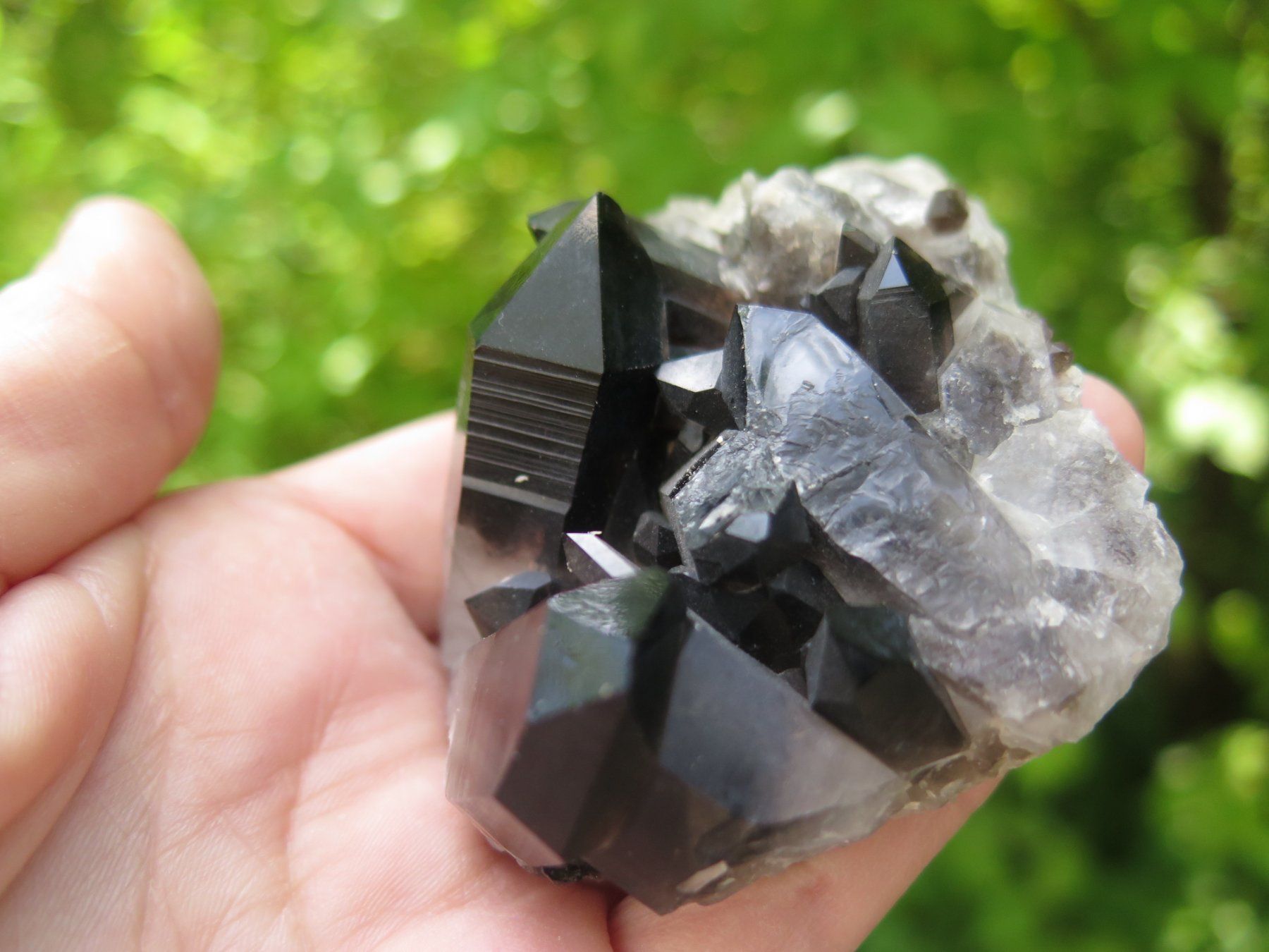 Mineralien & Heilsteine: Rauchquarz "Morion" von USA – Gebraucht aus Schaffhausen von Yamakana51L8736OQ8 6