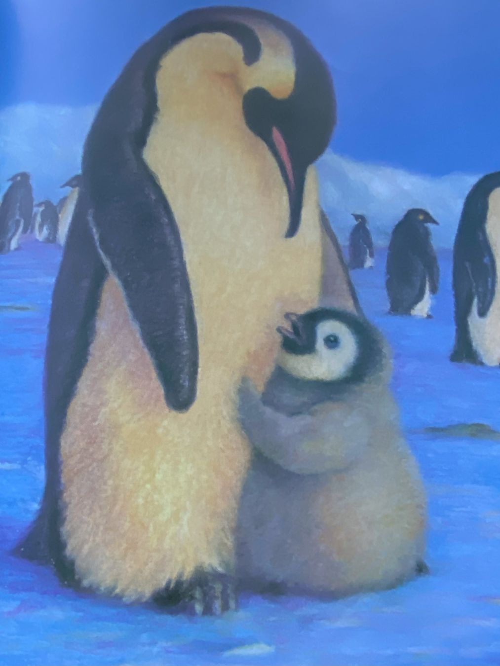 Libri: Otto, der kleine Pinguin – Nuovo (secondo la descrizione) da Sachseln venduto da basti1950 5