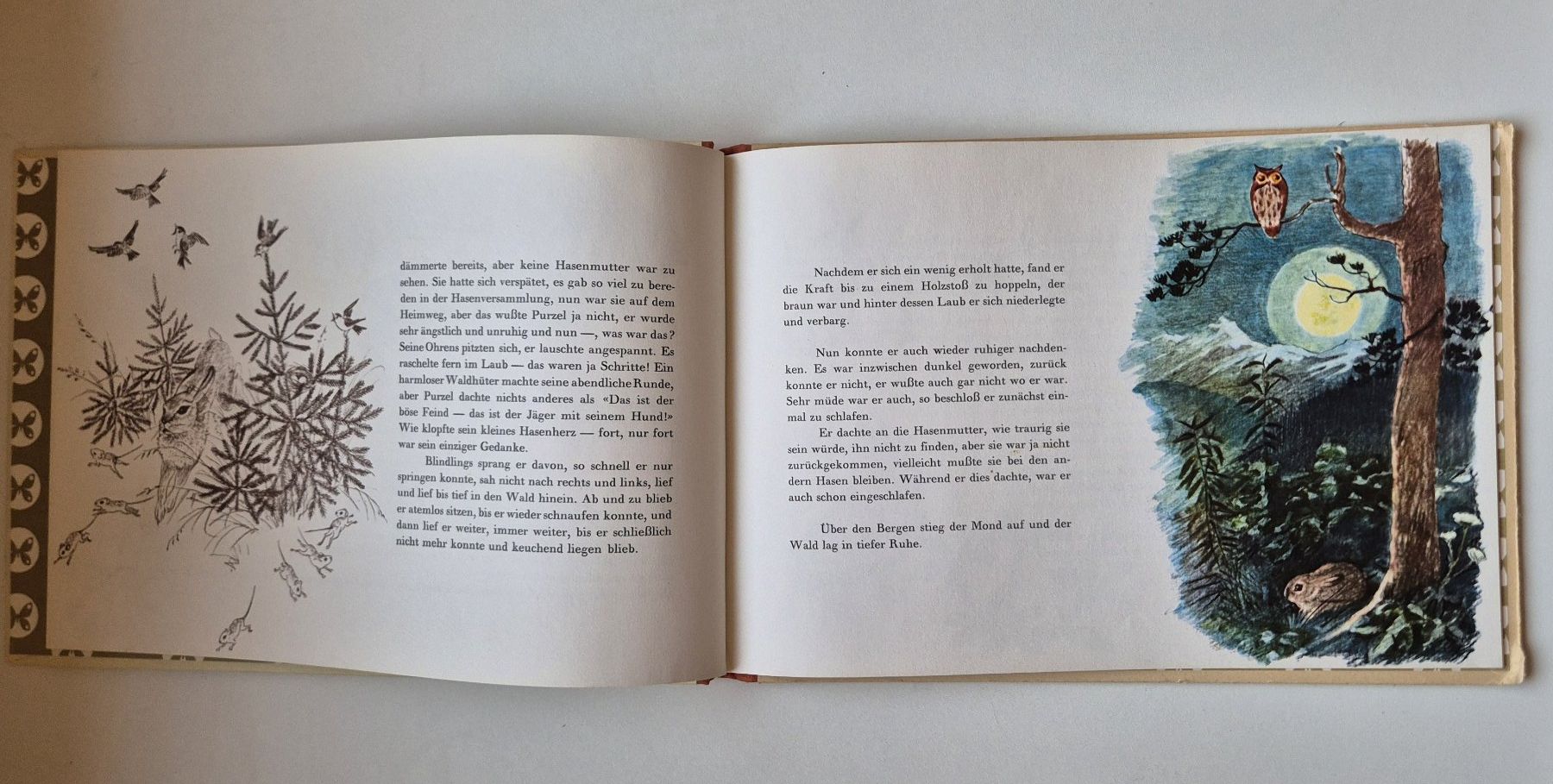 Libri: PURZEL - Eine Hasengeschichte  🐇  1953 – Usato da Niederweningen venduto da Obson 5