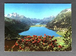AK Das Oberengadin Silvaplaner und Silsersee
