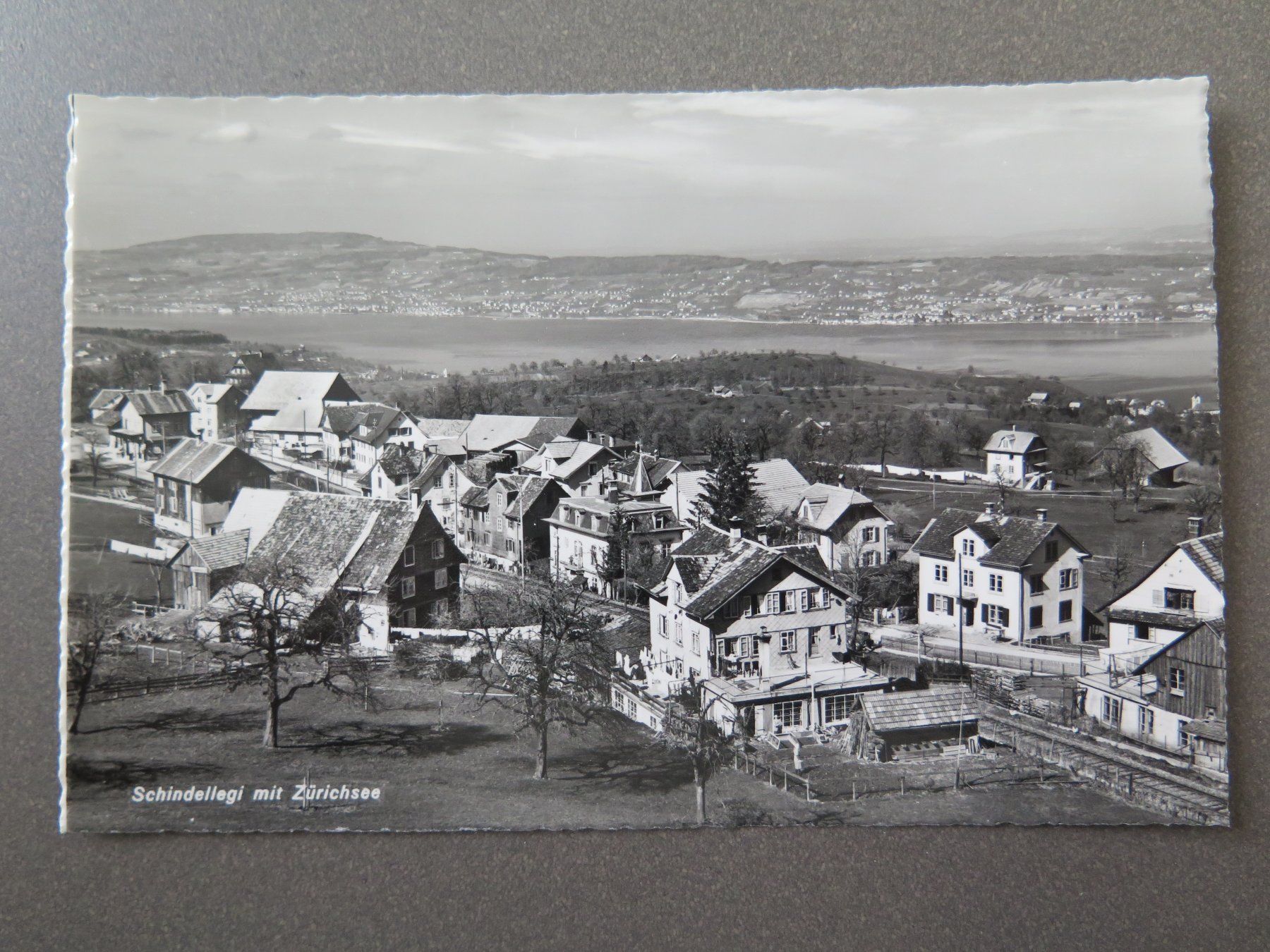 Cartoline postali: SCHINDELLEGI MIT ZÜRICHSEE – Usato da Wittenbach venduto da lipasal