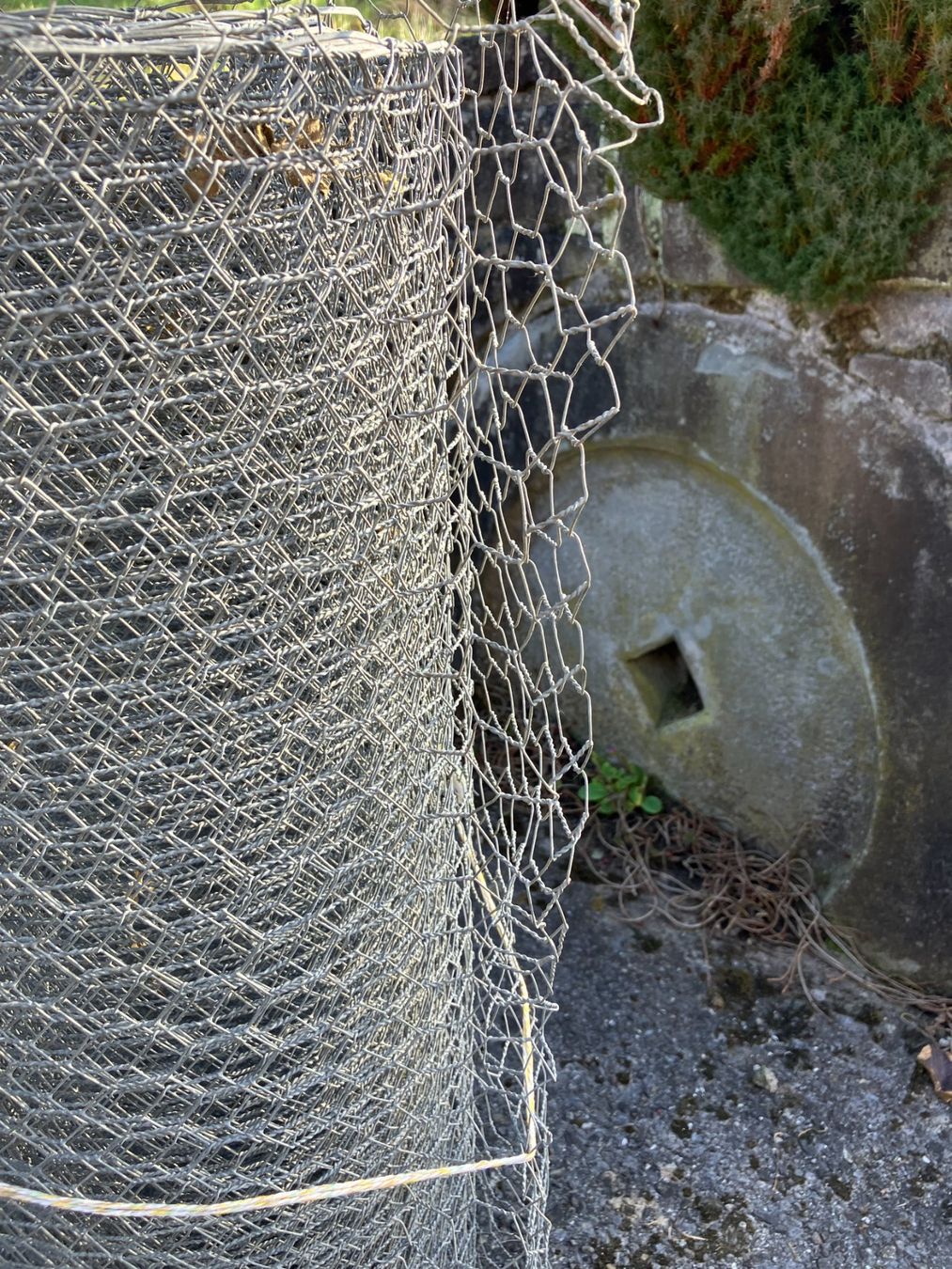 Griglie e Inferriate: Drahtgeflecht/ Maschenzaun – Usato da Männedorf venduto da Amleto3 3
