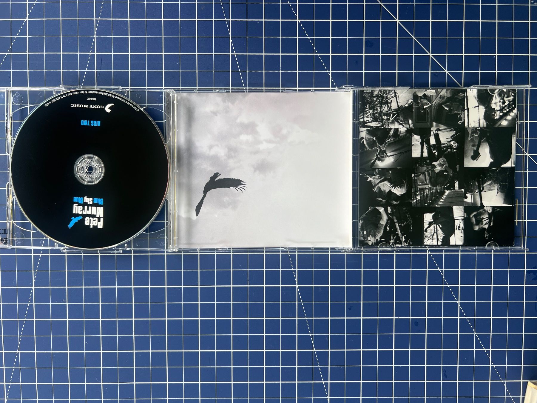 CD: Pete Murray – Blue Sky Blue – Usato da st.gallen venduto da sophiephie 2