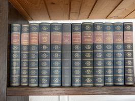 Bücher Goethe und Schiller Sammlung 12 Bände gebraucht