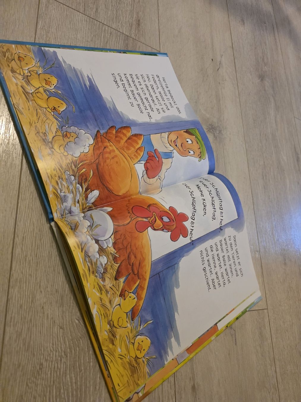 Libri: Kinderbuch "Das dreizehnte Ei"  – Usato da Wigoltingen venduto da Zuckerfee84 2