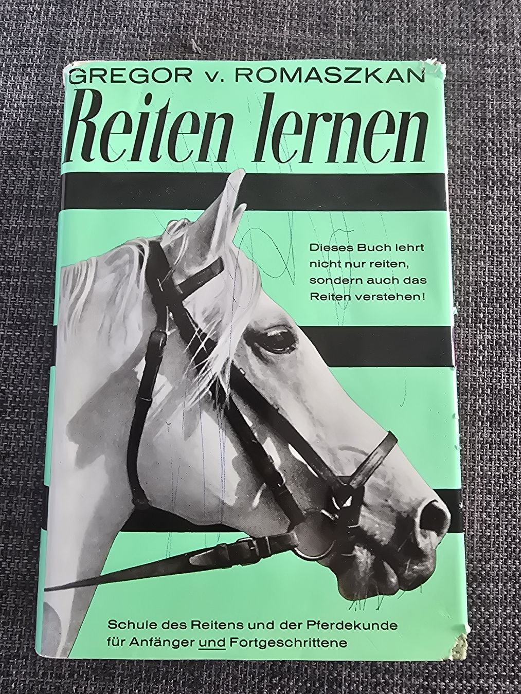 Bücher: Buch Reiten lernen – Gebraucht aus Lostorf von Venice16