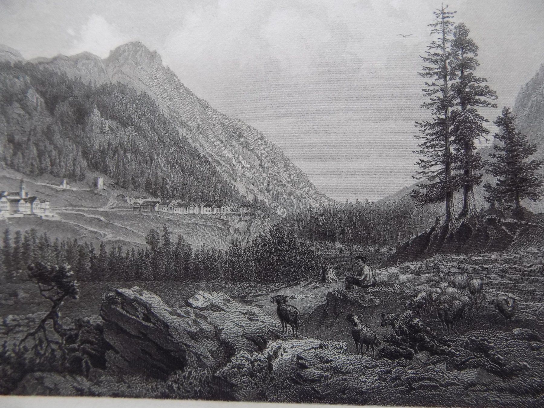 Incisioni: Pontresina Engadin Luxusausgabe – Usato da Risch venduto da Rischli15 2