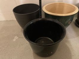 5 grosse Blumentöpfe