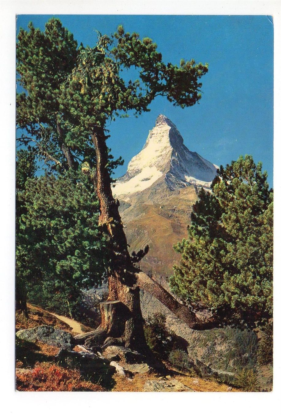 Cartoline postali: 2 x AK ZERMATT Gornergratbahn Matterhorn – Nuovo (secondo la descrizione) da Jona venduto da philajona 1