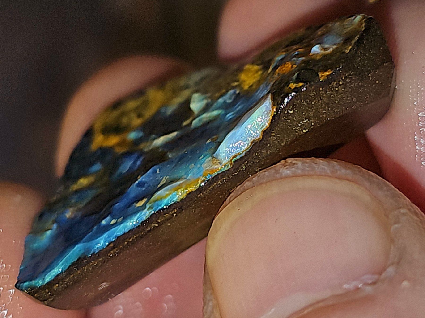 Pietre preziose: Australischer Boulderopal Rohstein – Nuovo e nell'imballaggio originale da Uerkheim venduto da Winwinner 5