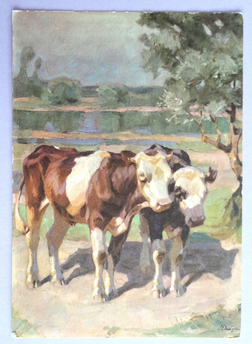 Cartoline postali: F. Elmiger : Rinder – Difettoso da Fétigny venduto da Billy2miny