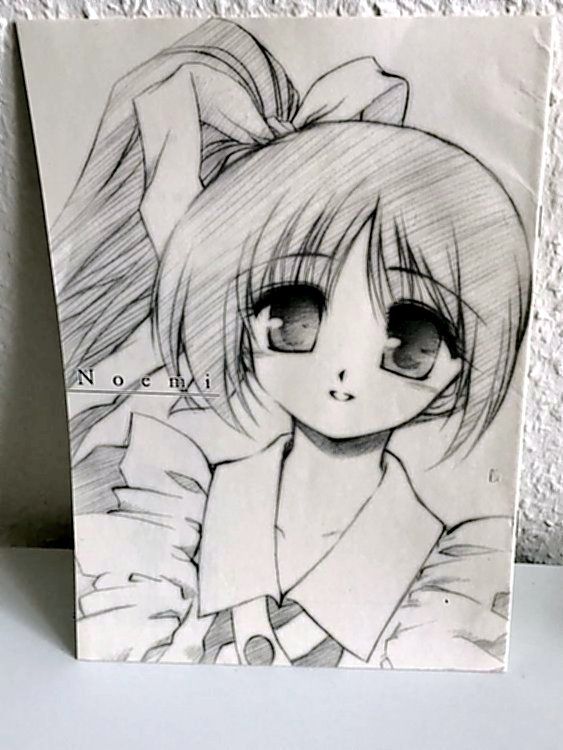 Fumetti: Fan Book "Noemi" Miyabi Fujieda 2002 – Usato da Effretikon venduto da lenalisa63