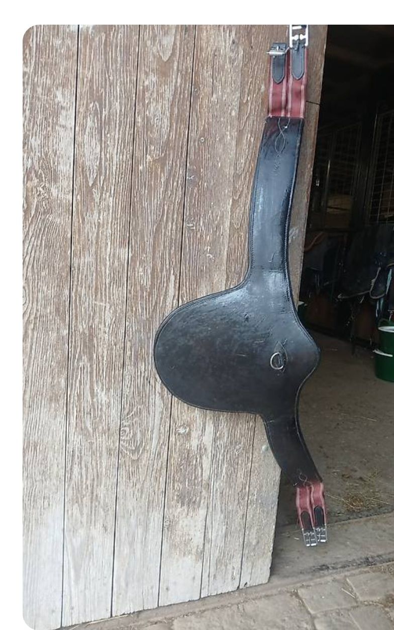 Selles, accessoires: sangle bavette – D'occasion à Attalens par mmm_5yp6