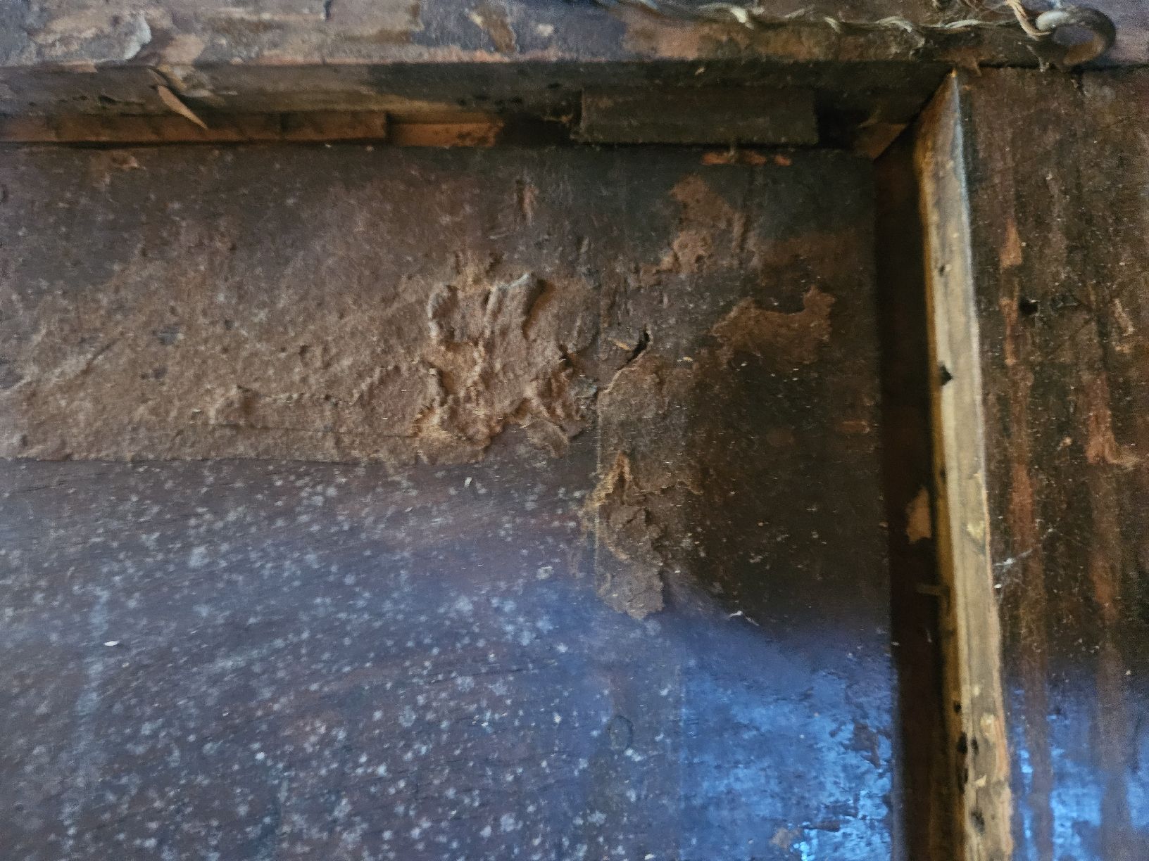 Dipinti: gemälde museal – Difettoso da Schwellbrunn venduto da Omega-alpha 6