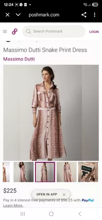 Massimo Dutti Snake Print Maxi Dress