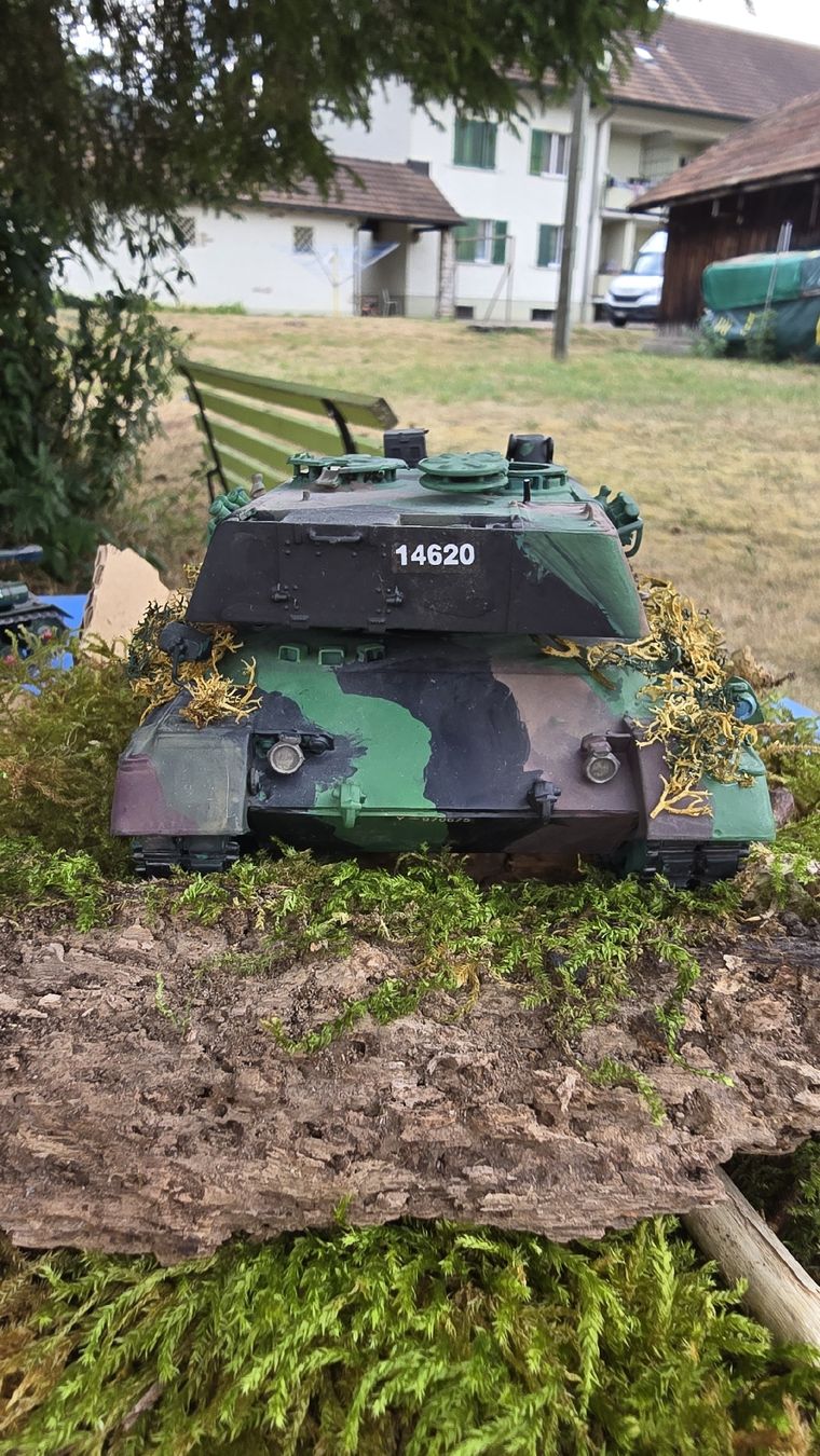 Kit di modellismo & Modellini statici: Modellpanzer Tarnung Maassstab 1:35 gebraucht – Usato da Balsthal venduto da cri_8tqn 2
